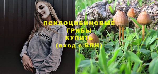 MDMA Богородск
