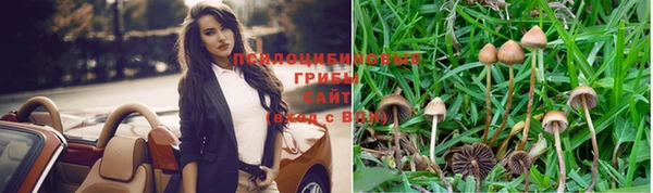мдпв Богданович
