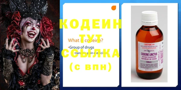 мдпв Богданович