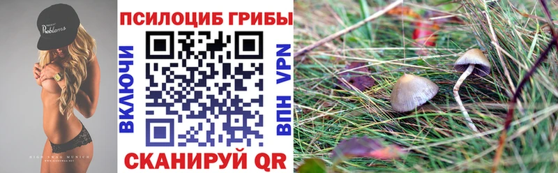 Купить  Богучар  Галлюциногенные грибы Magic Shrooms 